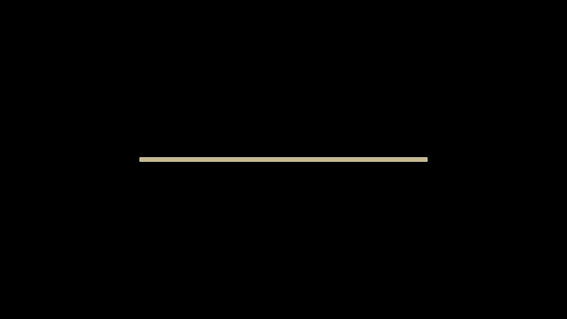 Logo Motion Graphics